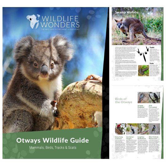 Wildlife Wonders' Otways Wildlife Guide with information on mammals, birds, tracks and scats.