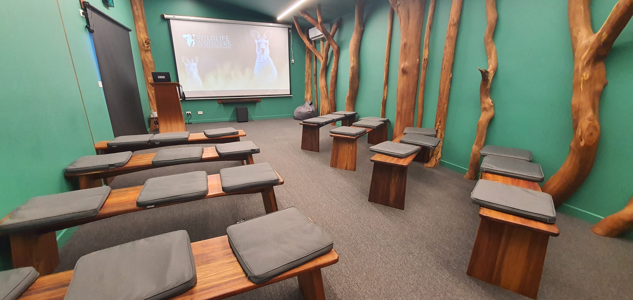 The green theatre room with wooden shared bench seating in a row, a projector screen at the front of the room playing a video