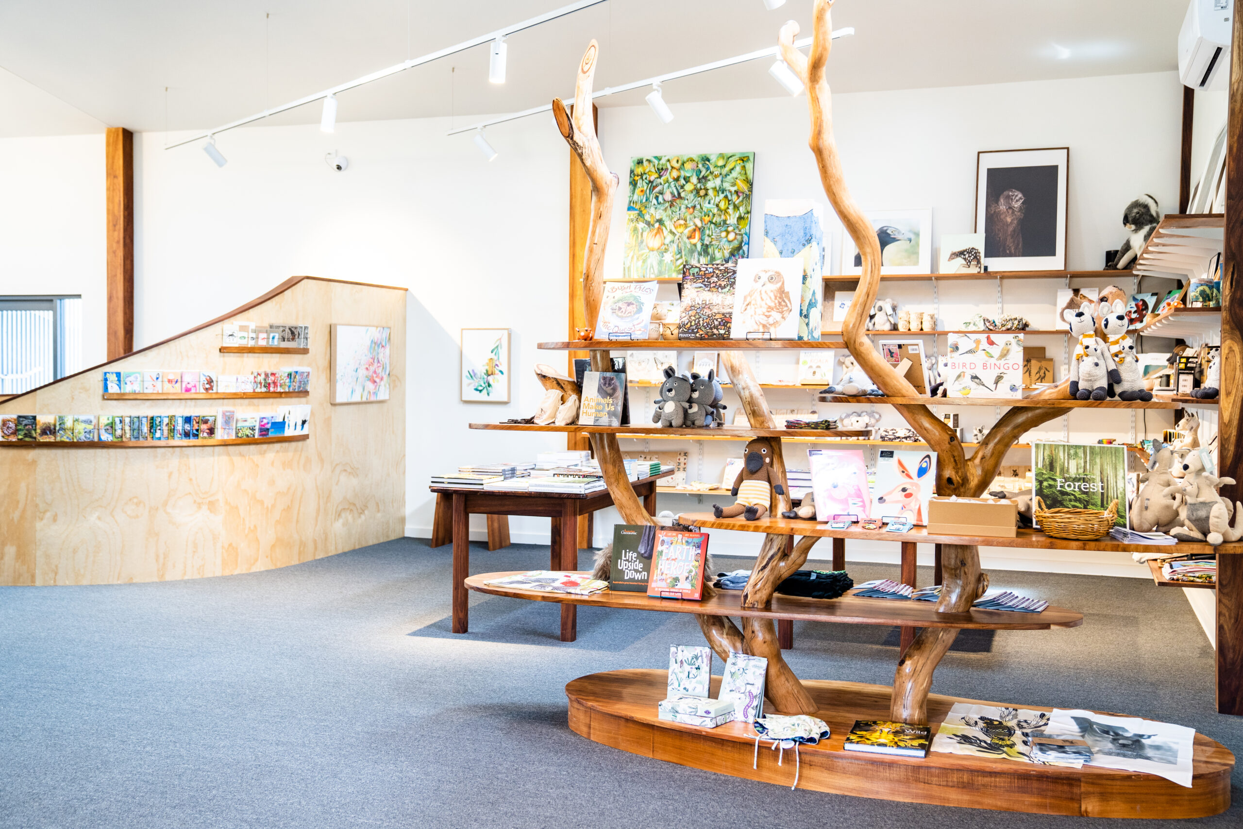wildlife wonders gift shop from the front entrance showing shelves made from branches